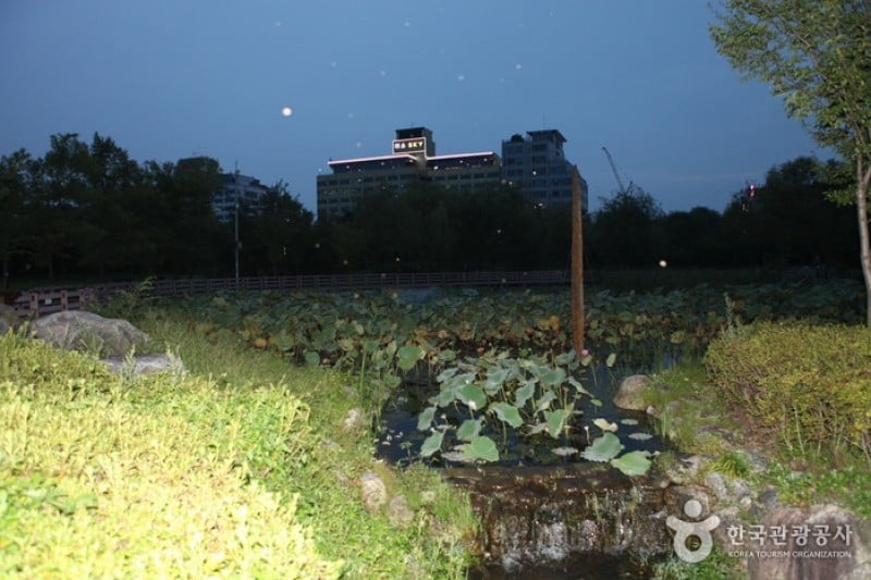 ハンバッ樹木園