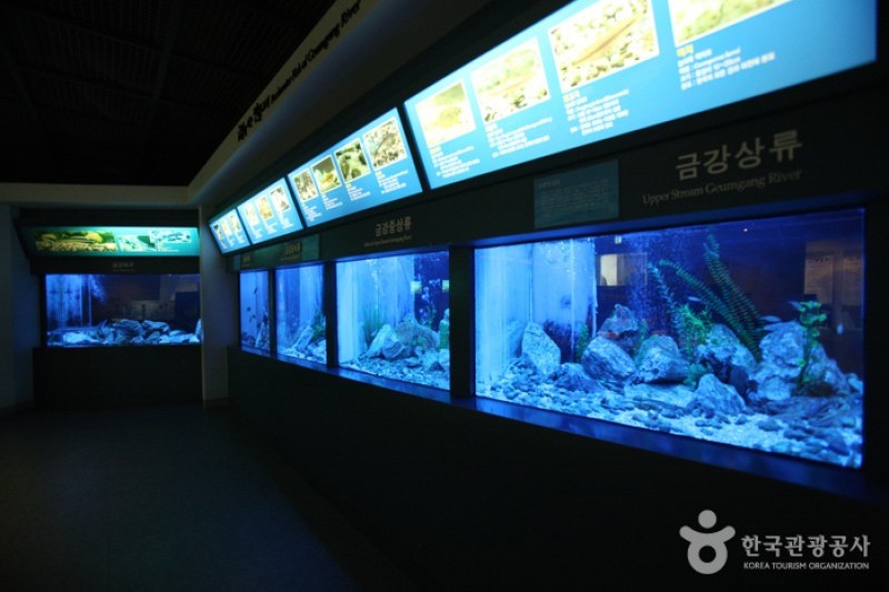 大清ダム水文化館