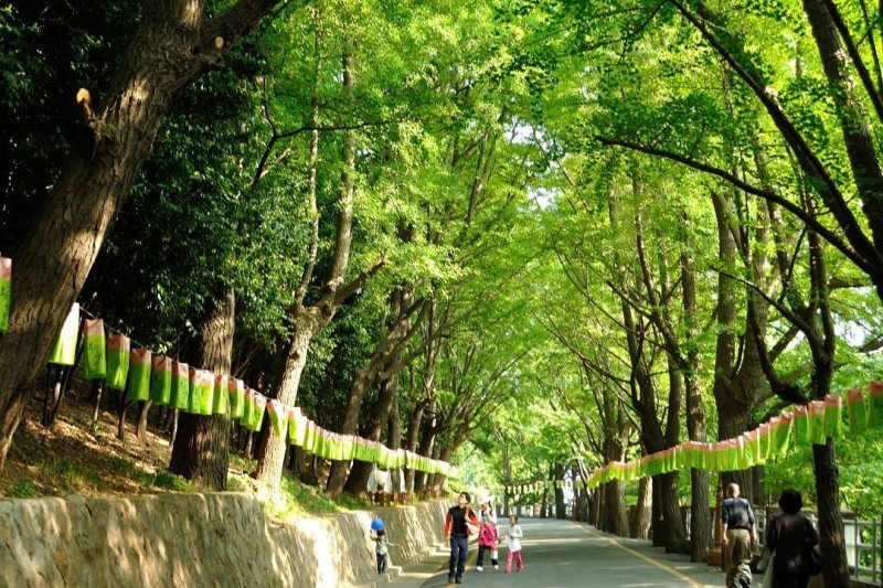 龍頭山公園