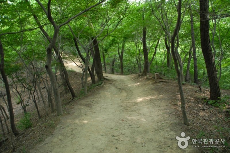 宝文山大公園