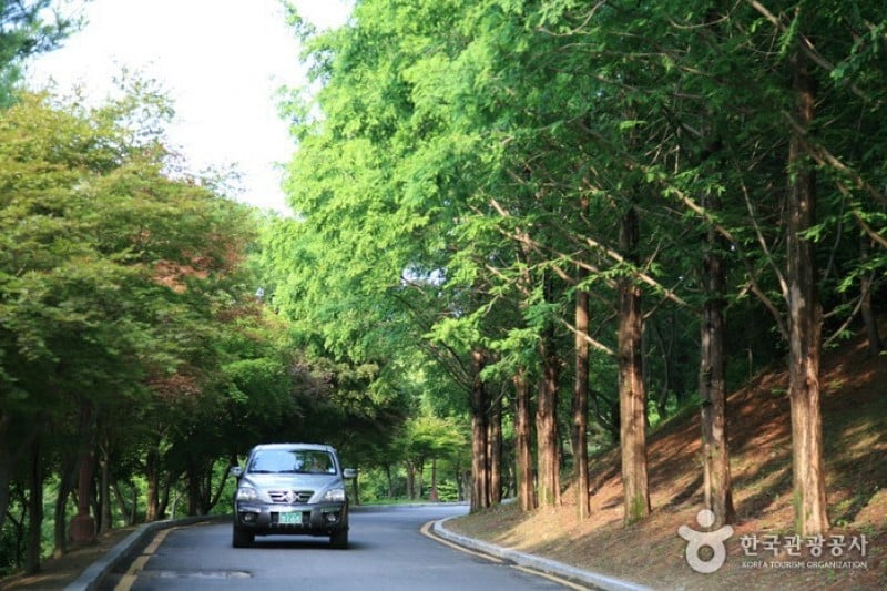 宝文山大公園