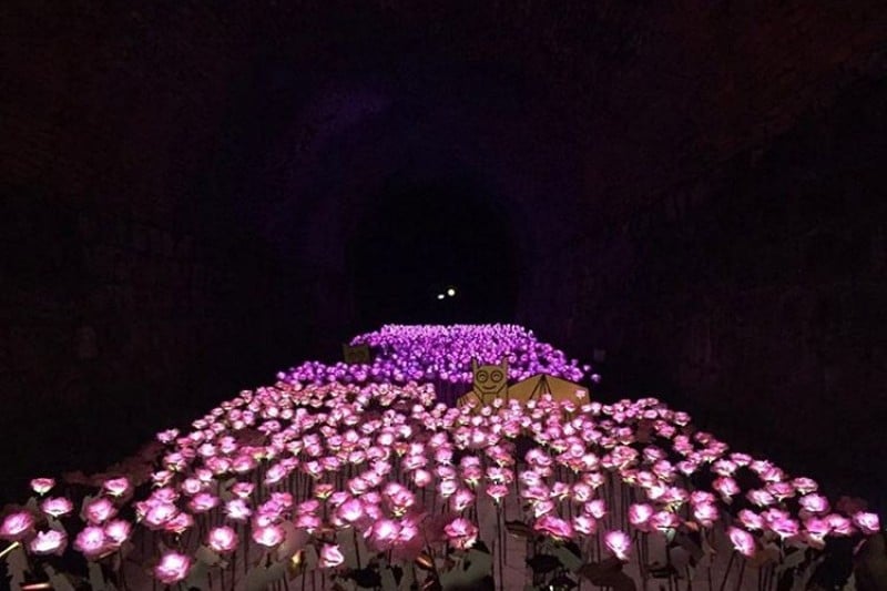 清道ワイントンネル