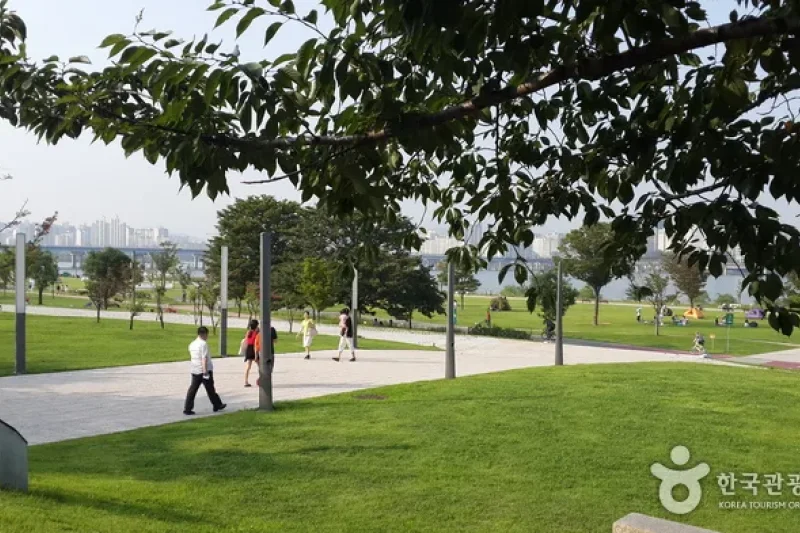 漢江市民公園 汝矣島地区（汝矣島漢江公園）한강시민공원 여의도지구
