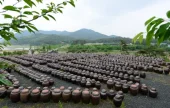 安東河回味噌村
