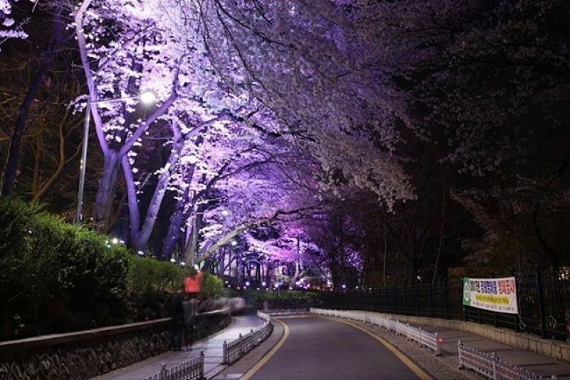 仁川チャイナタウン