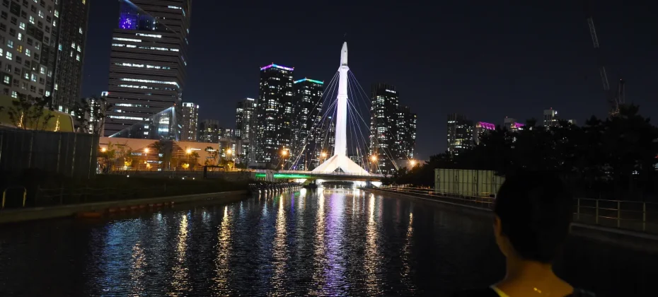 仁川松島セントラルパーク 夜景ツアー