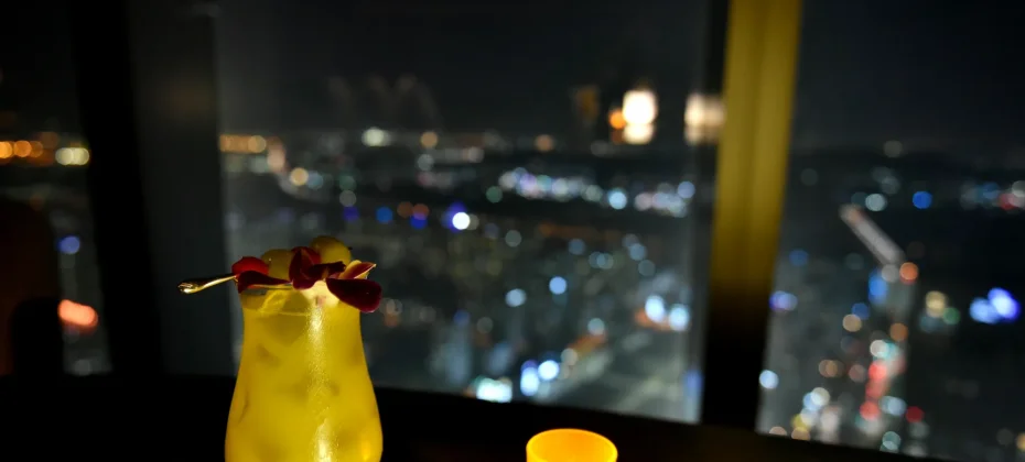 仁川松島セントラルパーク 夜景ツアー