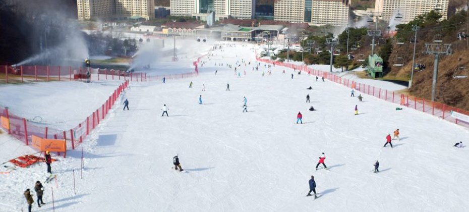 VIVALDI PARK ONE DAY SKI TOUR / shuttle service