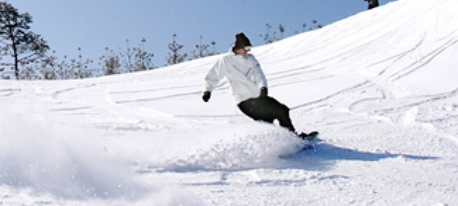 VIVALDI PARK ONE DAY SKI TOUR / shuttle service