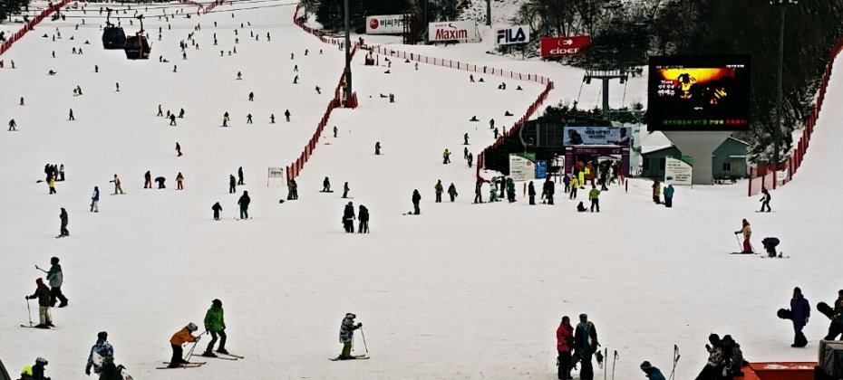 VIVALDI PARK ONE DAY SKI TOUR / shuttle service