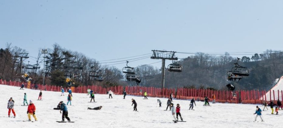 VIVALDI PARK ONE DAY SKI TOUR / shuttle service