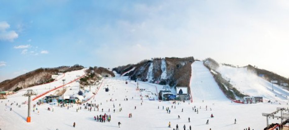 VIVALDI PARK ONE DAY SKI TOUR / shuttle service
