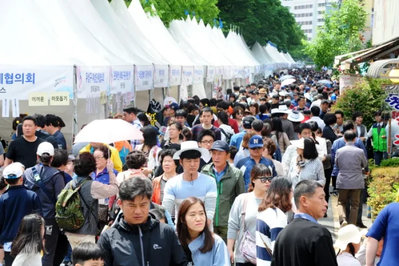 儒城温泉文化祭り（유성온천문화축제）