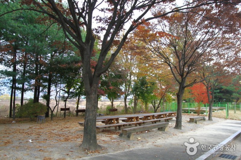 儒城ユースホステル(유성 유스호스텔)