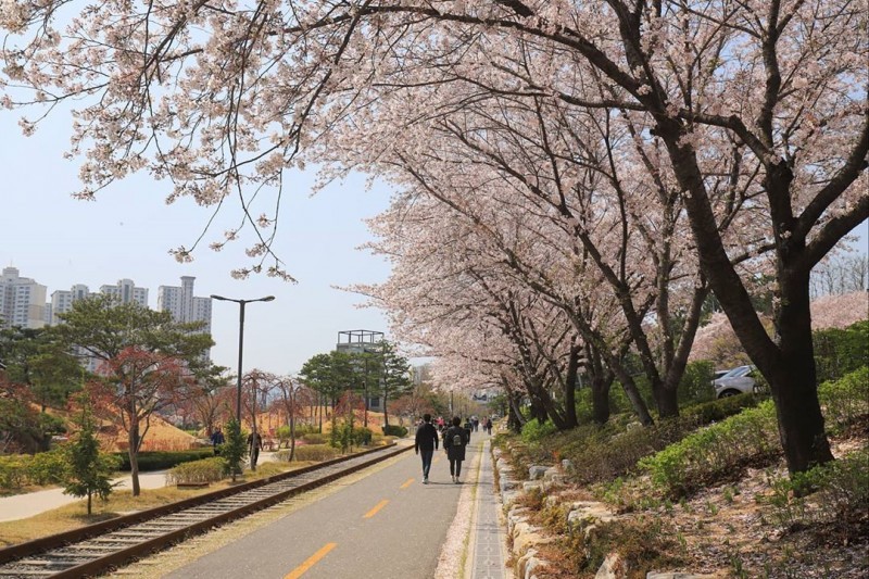 線路の森＆火の庭園（철길숲 &amp; 불의정원）