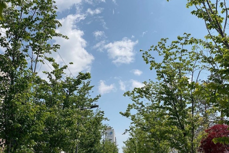 線路の森＆火の庭園（철길숲 &amp; 불의정원）