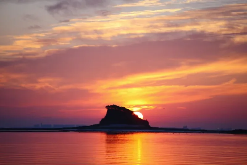 巨蚕浦海岸