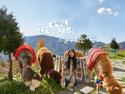 アルパカワールドチケット – 韓国で人気の多種動物パーク＆パフォーマンス